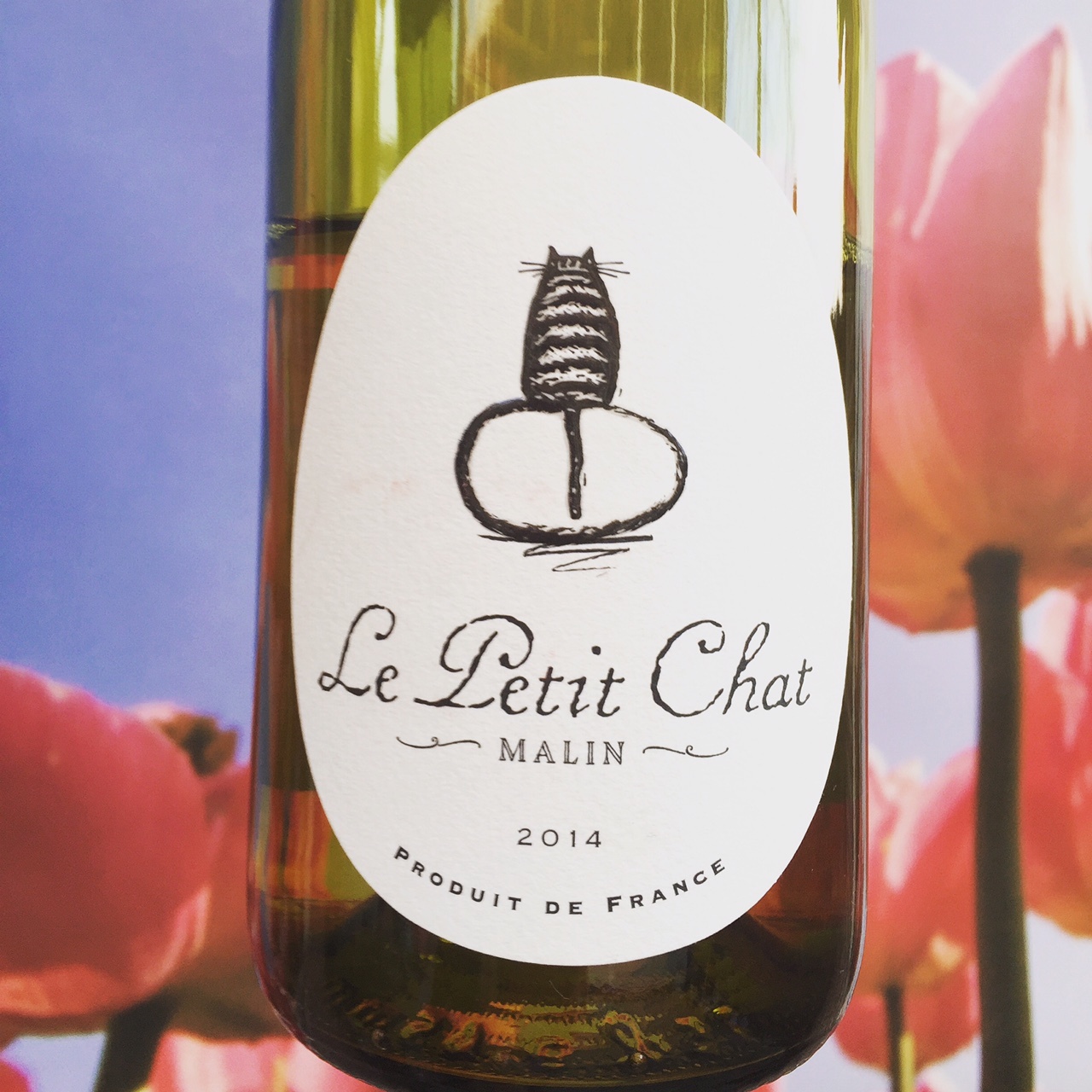 Lees meer over het artikel Le Petit Chat Blanc, Malin Review