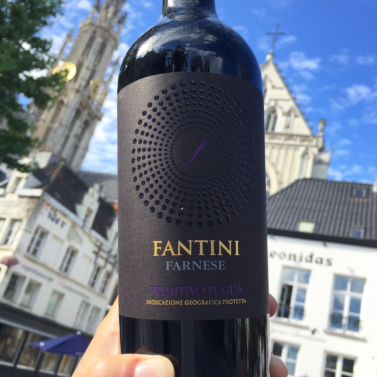 Lees meer over het artikel Primitivo Fantini, Puglia Review