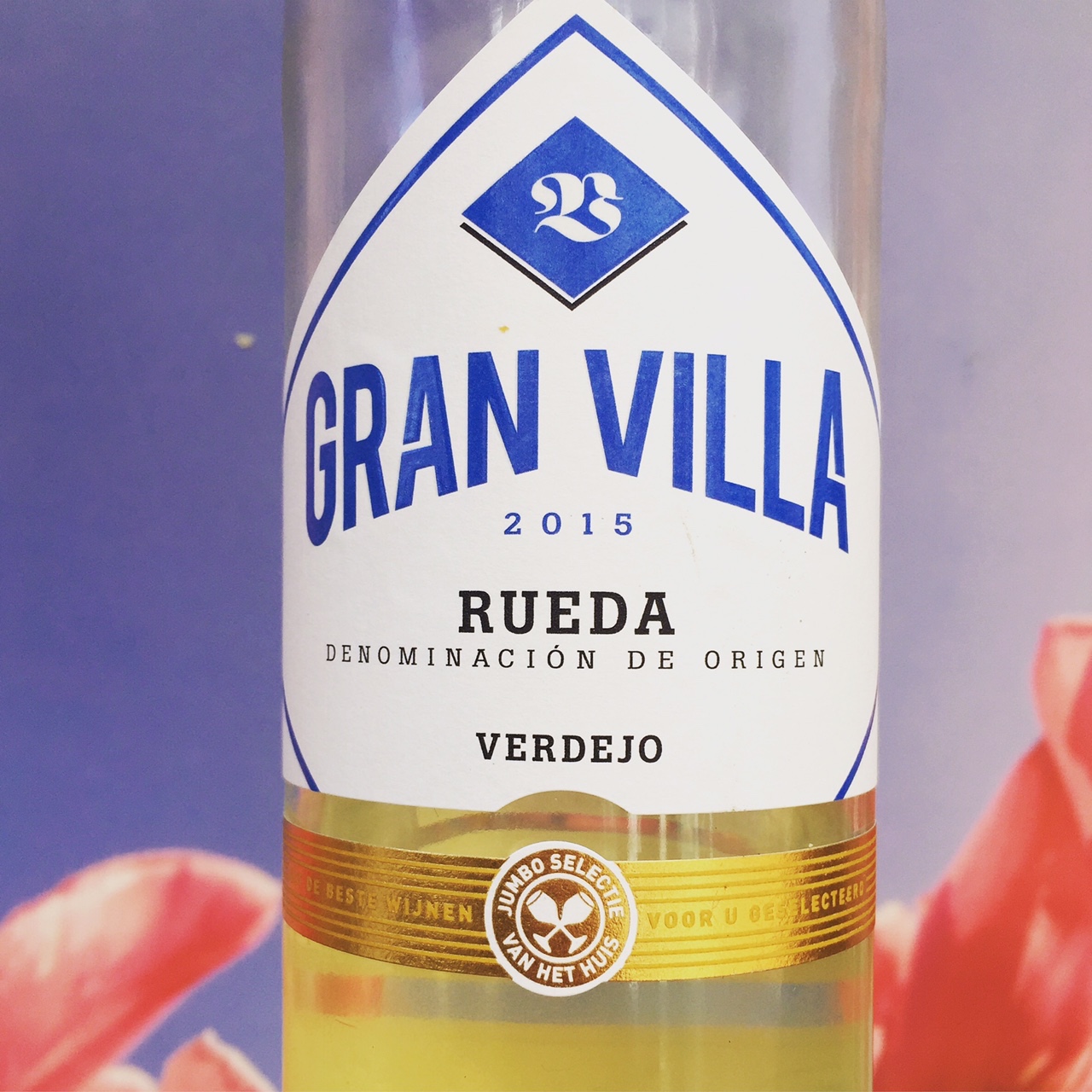 Lees meer over het artikel Rueda Verdejo, Gran Villa Review
