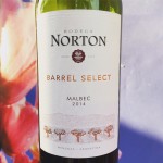 Norton Malbec wijnreview door Mama Drinkt Wijn, vinoloog sinds 2006