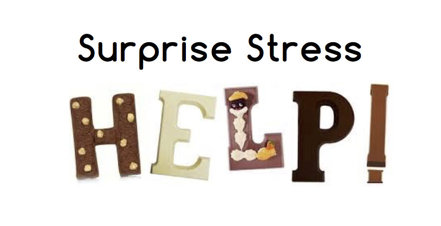 Lees meer over het artikel Sinterklaas surprise stress, help!