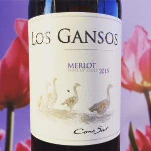 Lees meer over het artikel Merlot Los Gansos, Cono Sur Review