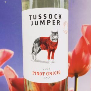 Lees meer over het artikel Pinot Grigio Tussock Jumper Review