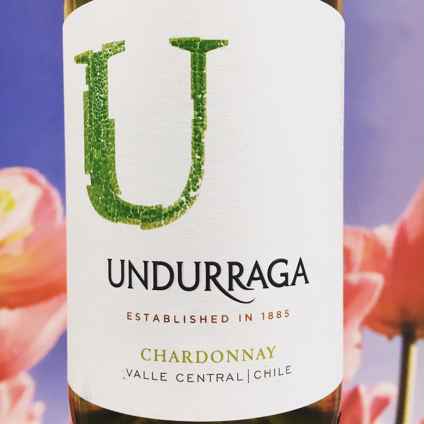 Lees meer over het artikel Undurraga Chardonnay Review
